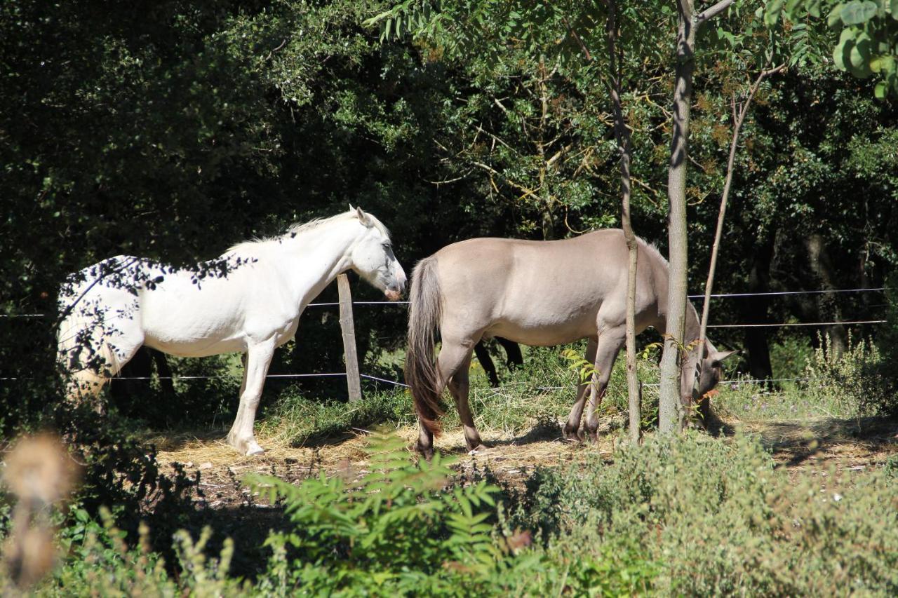 Studio Gard Calme Et Nature Russan Екстер'єр фото