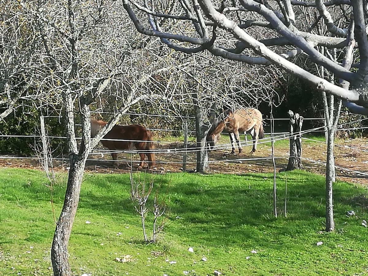 Studio Gard Calme Et Nature Russan Екстер'єр фото