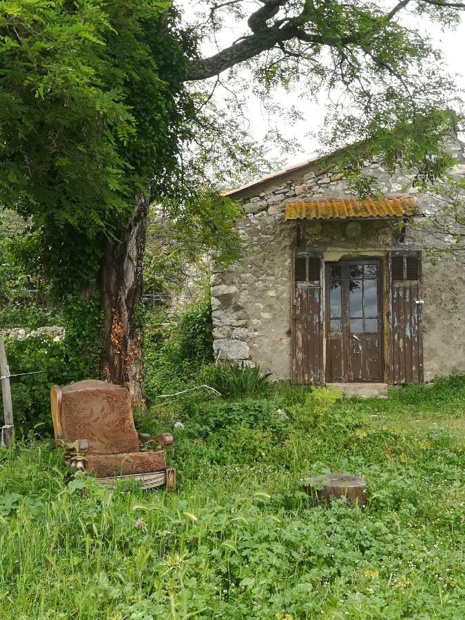 Studio Gard Calme Et Nature Russan Екстер'єр фото