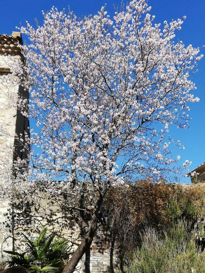 Studio Gard Calme Et Nature Russan Екстер'єр фото