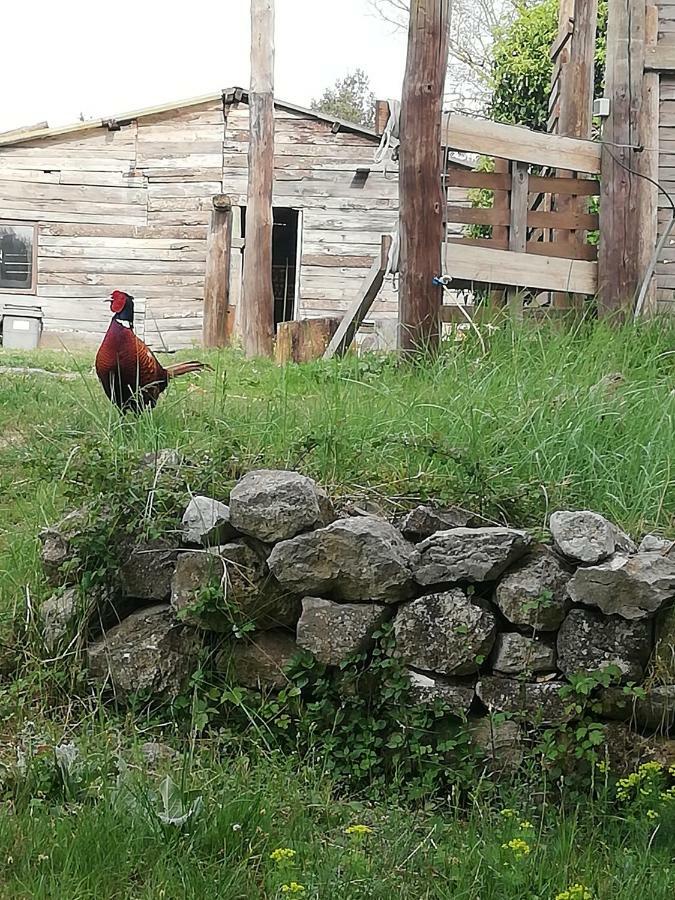 Studio Gard Calme Et Nature Russan Екстер'єр фото